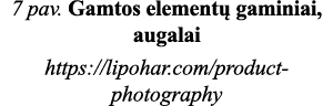 7 pav  Gamtos elementų gaminiai, augalai https:  lipohar com product-photography