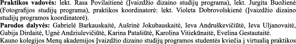 Praktikos vadovės: lekt  Rasa Povilaitienė (Įvaizdžio dizaino studijų programa), lekt  Jurgita Buožienė (Fotografijos   