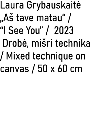 Laura Grybauskait „A  tave matau“ / “I See You” / 2023 Drob , mi ri technika / Mixed technique on canvas / 50 x 60 cm 