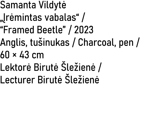 Samanta Vildyt „ r mintas vabalas“ / “Framed Beetle” / 2023 Anglis, tu inukas / Charcoal, pen / 60 × 43 cm Lektor  B...