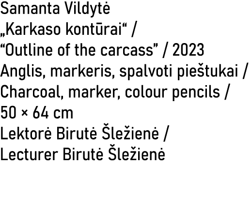 Samanta Vildyt „Karkaso kont rai“ / “Outline of the carcass” / 2023 Anglis, markeris, spalvoti pie tukai / Charcoal,...