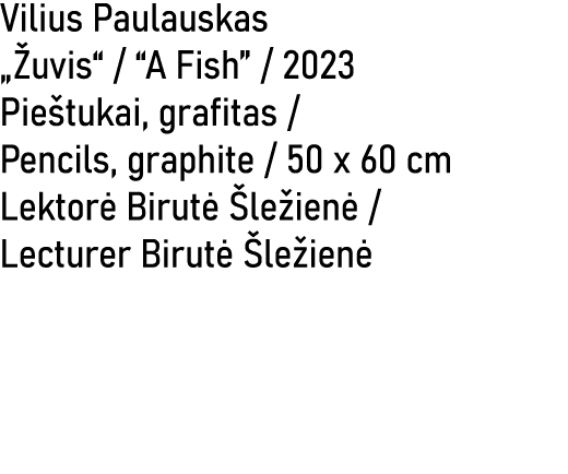 Vilius Paulauskas „ uvis“ / “A Fish” / 2023 Pie tukai, grafitas / Pencils, graphite / 50 x 60 cm Lektor Birut   le i...