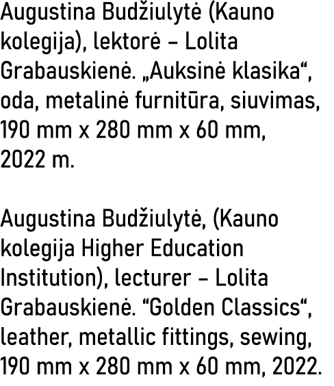 Augustina Budžiulytė (Kauno kolegija), lektorė   Lolita Grabauskienė   Auksinė klasika , oda, metalinė furnitūra, siu   