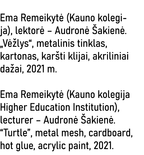  Ema Remeikytė (Kauno kolegija), lektorė   Audronė Šakienė   Vėžlys , metalinis tinklas, kartonas, karšti klijai, akr   