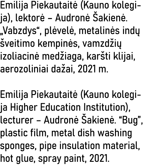 Emilija Piekautaitė (Kauno kolegija), lektorė   Audronė Šakienė   Vabzdys , plėvelė, metalinės indų šveitimo kempinės   
