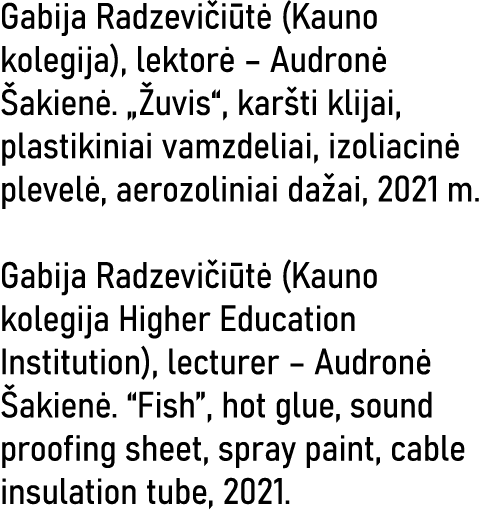Gabija Radzevičiūtė (Kauno kolegija), lektorė   Audronė Šakienė   Žuvis , karšti klijai, plastikiniai vamzdeliai, izo   