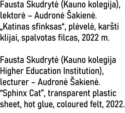 Fausta Skudrytė (Kauno kolegija), lektorė   Audronė Šakienė   Katinas sfinksas , plėvelė, karšti klijai, spalvotas fi   