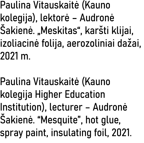 Paulina Vitauskaitė (Kauno kolegija), lektorė   Audronė Šakienė   Meskitas , karšti klijai, izoliacinė folija, aerozo   
