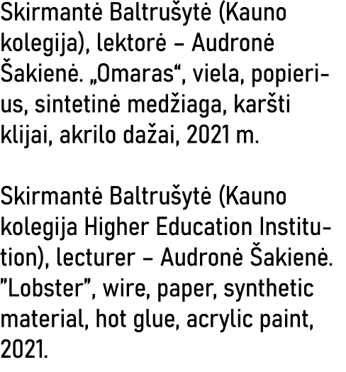 Skirmantė Baltrušytė (Kauno kolegija), lektorė   Audronė Šakienė   Omaras , viela, popierius, sintetinė medžiaga, kar   