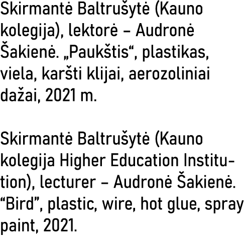 Skirmantė Baltrušytė (Kauno kolegija), lektorė   Audronė Šakienė   Paukštis , plastikas, viela, karšti klijai, aerozo   