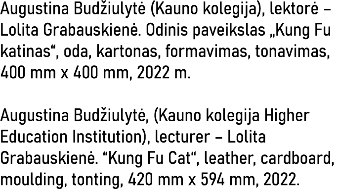 Augustina Budžiulytė (Kauno kolegija), lektorė   Lolita Grabauskienė  Odinis paveikslas  Kung Fu katinas , oda, karto   