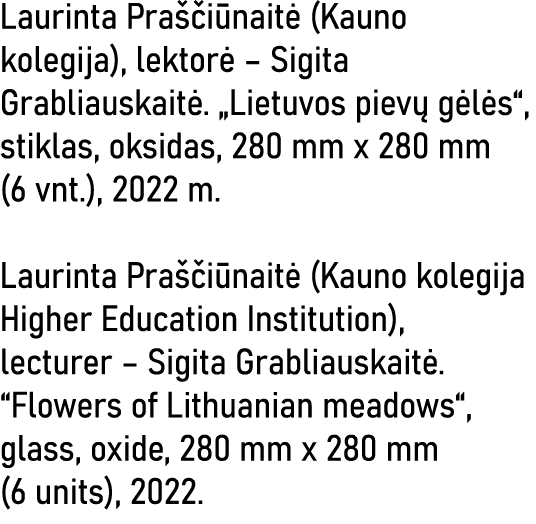 Laurinta Praščiūnaitė (Kauno kolegija), lektorė   Sigita Grabliauskaitė   Lietuvos pievų gėlės , stiklas, oksidas, 28   