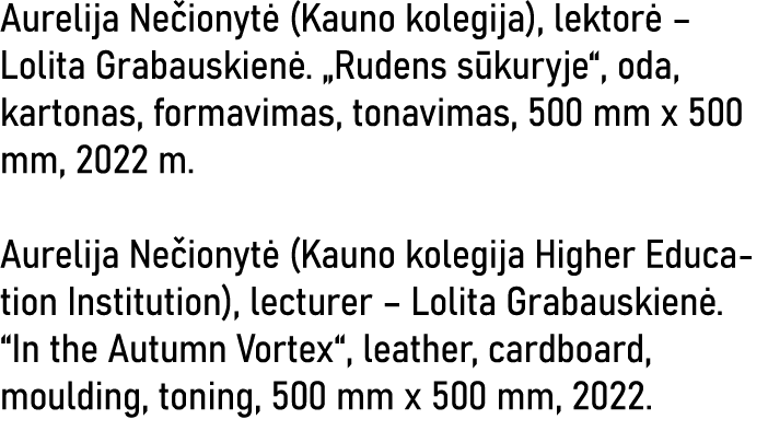 Aurelija Nečionytė (Kauno kolegija), lektorė   Lolita Grabauskienė   Rudens sūkuryje , oda, kartonas, formavimas, ton   
