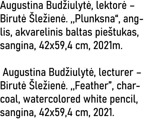 Augustina Budžiulytė, lektorė   Birutė Šležienė  ,,Plunksna , anglis, akvarelinis baltas pieštukas, sangina, 42x59,4    
