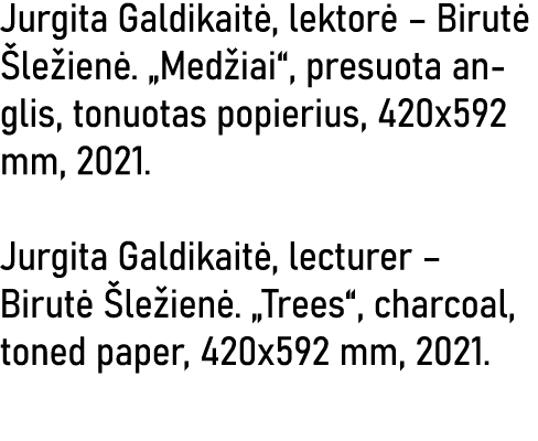 Jurgita Galdikaitė, lektorė   Birutė Šležienė   Medžiai , presuota anglis, tonuotas popierius, 420x592 mm, 2021  Jurg   