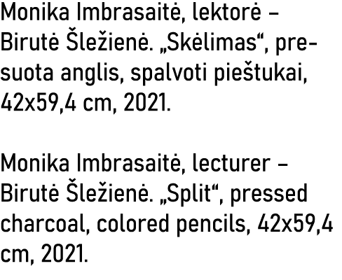 Monika Imbrasaitė, lektorė   Birutė Šležienė   Skėlimas , presuota anglis, spalvoti pieštukai, 42x59,4 cm, 2021  Moni   