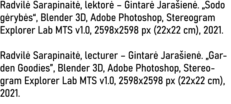 Radvilė Sarapinaitė, lektorė   Gintarė Jarašienė   Sodo gėrybės , Blender 3D, Adobe Photoshop, Stereogram Explorer La   