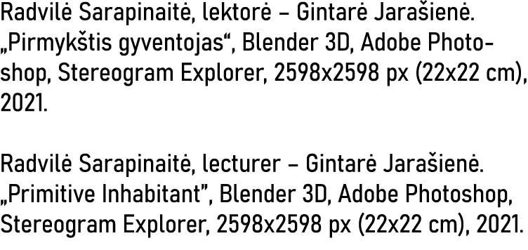 Radvilė Sarapinaitė, lektorė   Gintarė Jarašienė   Pirmykštis gyventojas , Blender 3D, Adobe Photoshop, Stereogram Ex   