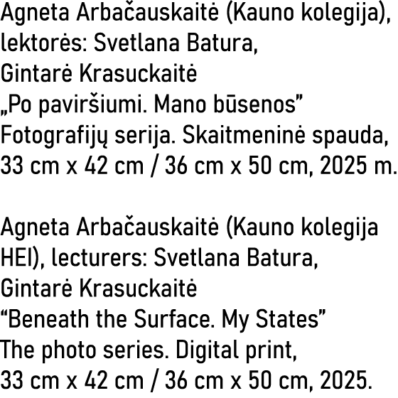 Agneta Arbačauskaitė (Kauno kolegija), lektorės: Svetlana Batura, Gintarė Krasuckaitė  Po paviršiumi  Mano būsenos  F   