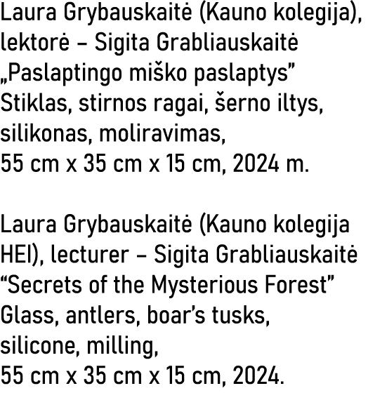 Laura Grybauskaitė (Kauno kolegija), lektorė   Sigita Grabliauskaitė  Paslaptingo miško paslaptys  Stiklas, stirnos r   