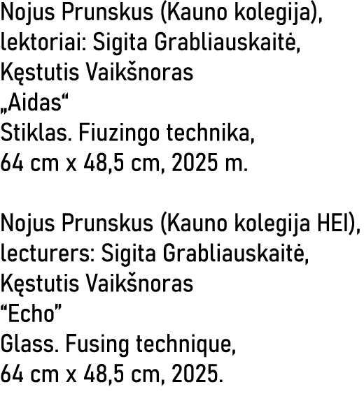 Nojus Prunskus (Kauno kolegija), lektoriai: Sigita Grabliauskaitė, Kęstutis Vaikšnoras  Aidas  Stiklas  Fiuzingo tech   