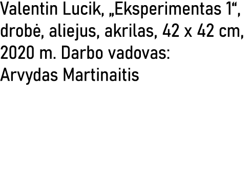 Valentin Lucik,  Eksperimentas 1 , drobė, aliejus, akrilas, 42 x 42 cm, 2020 m  Darbo vadovas: Arvydas Martinaitis