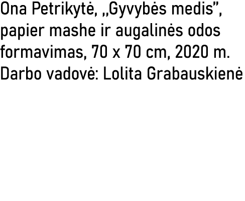 Ona Petrikytė, ,,Gyvybės medis  , papier mashe ir augalinės odos formavimas, 70 x 70 cm, 2020 m  Darbo vadovė: Lolita   