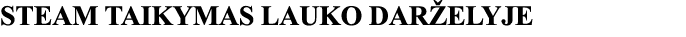 STEAM TAIKYMAS LAUKO DARŽELYJE