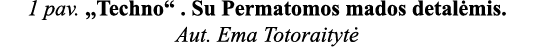 1 pav  ,,Techno    Su Permatomos mados detalėmis  Aut  Ema Totoraitytė 