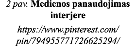 2 pav  Medienos panaudojimas interjere https:  www pinterest com pin 794955771726625294 