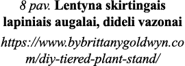 8 pav  Lentyna skirtingais lapiniais augalai, dideli vazonai https:  www bybrittanygoldwyn co m diy-tiered-plant-stand 