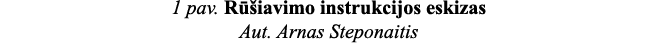 1 pav  Rūšiavimo instrukcijos eskizas Aut  Arnas Steponaitis