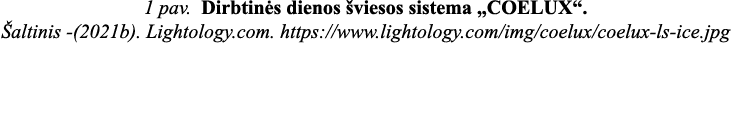 1 pav  Dirbtinės dienos šviesos sistema  COELUX   Šaltinis -(2021b)  Lightology com  https:  www lightology com img c   