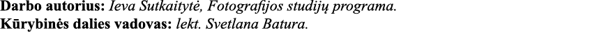 Darbo autorius: Ieva Sutkaitytė, Fotografijos studijų programa  Kūrybinės dalies vadovas: lekt  Svetlana Batura 