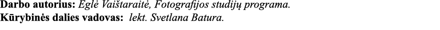 Darbo autorius: Eglė Vaištaraitė, Fotografijos studijų programa  Kūrybinės dalies vadovas: lekt  Svetlana Batura 